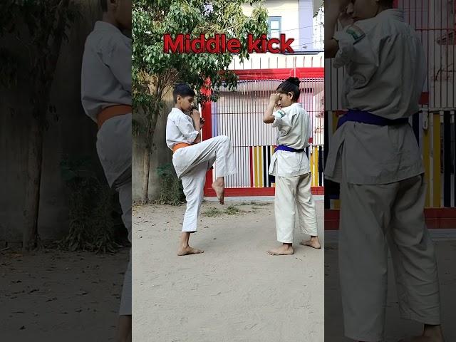 Tutorial of three side kicks l.  Daily karate practice at home. #martialarts