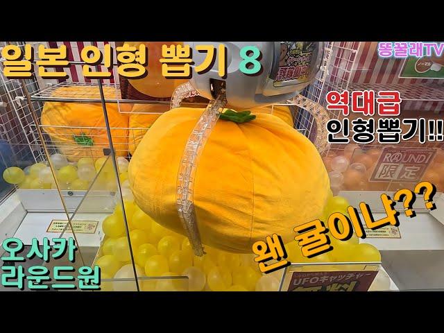 일본 인형뽑기 8 (오사카 도톤보리 라운드원 센니치마), 올해 마지막 인형뽑기