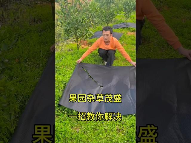 Genius Hack to Eliminate Garden Weeds Instantly#farming #viralvideo #shorts