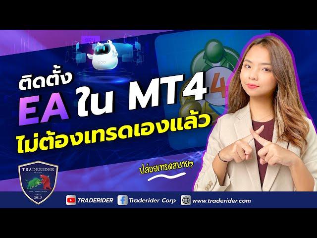 วิธีติดตั้ง EA สำหรับเทรด Forex จากเว็บ MQL5.COM | โปรแกรมเทรดหาเงินอัตโนมัติ