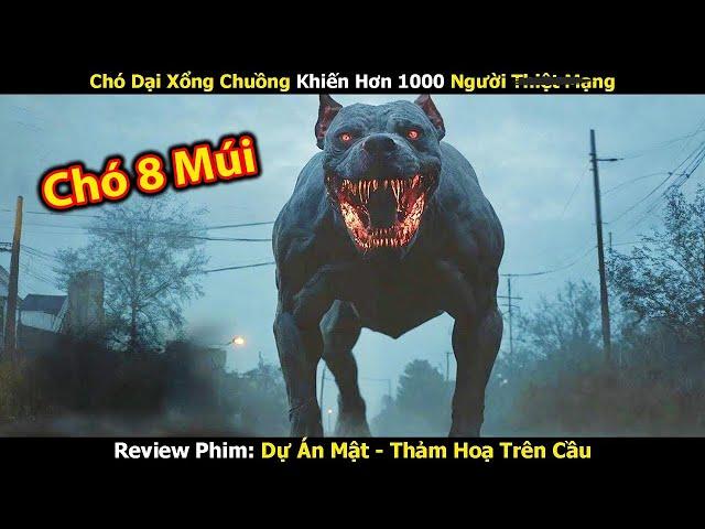 [Review Phim] Chó Dại Xổng Chuồng Khiến Hơn 1000 Người Thiệt Mạng - Tóm tắt Phim Mới 2024