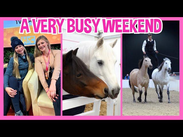 A VERY BUSY WEEKEND AT YOUR HORSE LIVE!