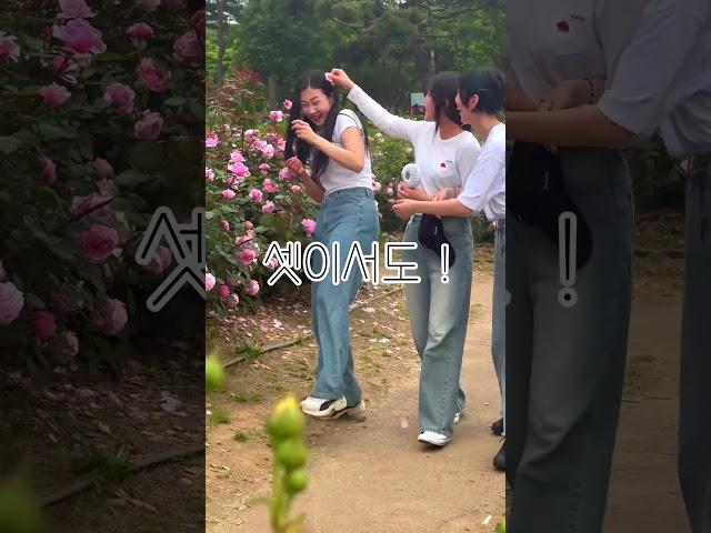 장미를 마음껏 즐길 수 있는 서울대공원 장미원 축제