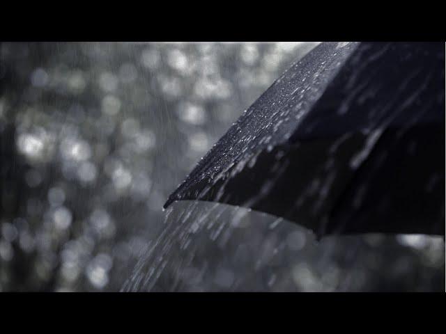 3h de lluvia bajo paraguas en pantalla oscura | rain under umbrella