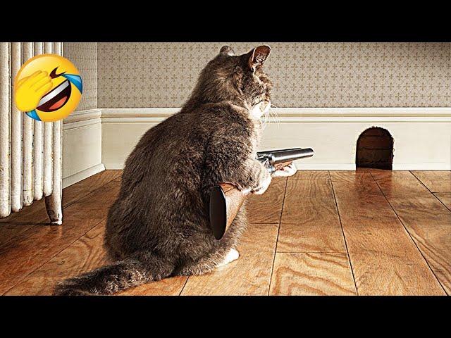 Funniest Animals 2023  Funniest Cats and Dogs Life Pawty