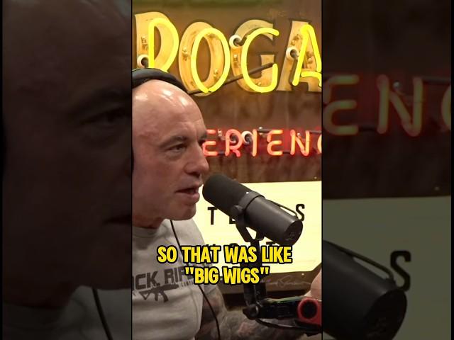 Big Wigs#bigwigs #syphilis #joerogan #joeroganexperience #joeroganpodcast #jre #jreclips #jrepodcast