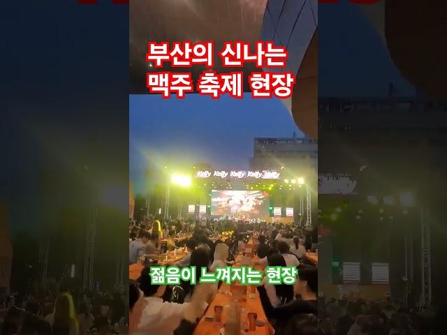 신나는 맥주축제 #대박 #beer #bounce #축제 #festival #carnival #맥주 #부산 #즐거움 #힐링 #nature #행복 #happy