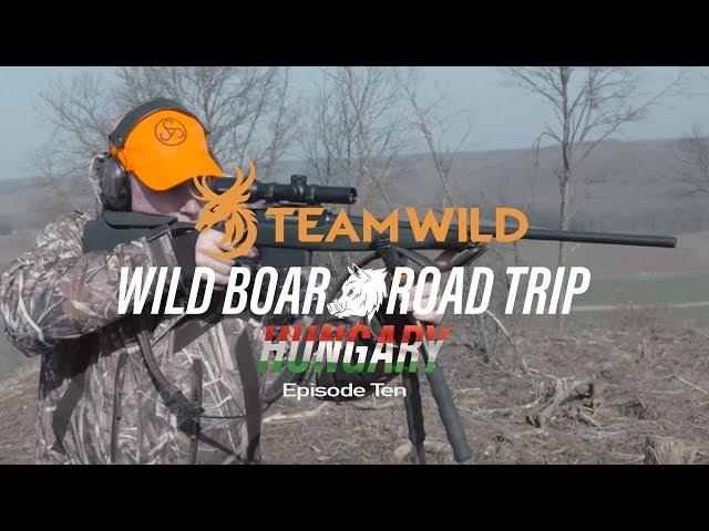 Wild Boar Hunting: Driven Boar Hunting and Traditions in Hungary with Ian Harford