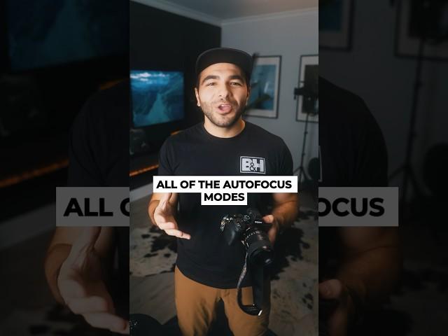 Let's make this quick, shall we? Autofocus modes in 60 seconds