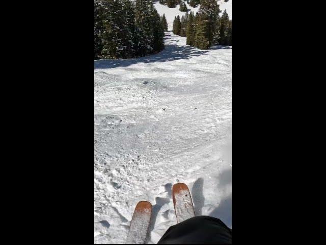 Not the bent pole  #shorts #crazy #cool #skiing #gopro