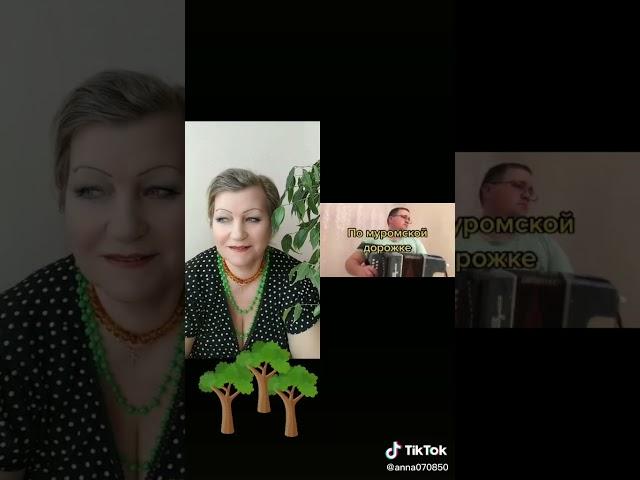 По муромской дорожке