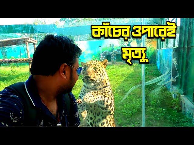 গুজরাটের ফরেস্ট সাফারী || Statue Of Unity || Jungle Safari and Pets Zone Tour || Gujrat Tour