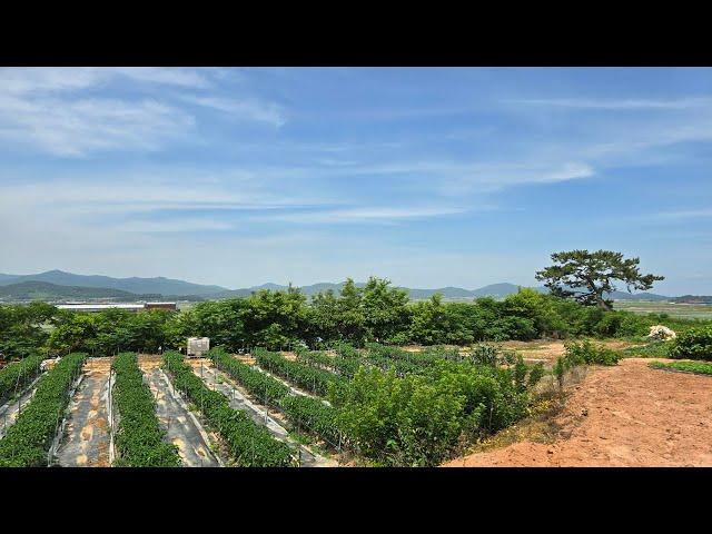 [부동산백화점]1064.영암 토지매매 계획관리지역인데 조망도 너무 좋네요~영암군토지매매 영암군땅매매 영암군계획관리지역토지매매 영암군군서면토지매매 영암군군서면땅매매 영암군펜션부지매매