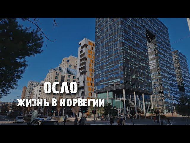 Осло: как живут норвежцы и как выглядит город | Первые впечатления