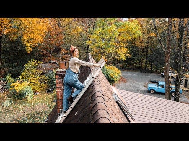 Building a Woodshed from Scratch (and other Home Projects)