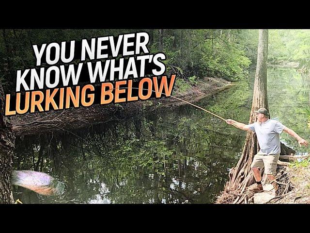 BLUEGILL Fishing The Bottom Of a River [Catch, Cook] Hooked This GIANT Fish!!