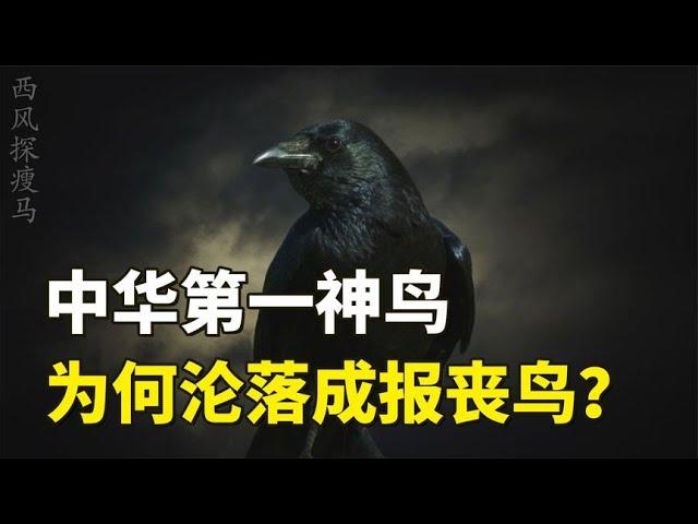 乌鸦的悲催史：从吉祥神鸟到“凶兆之鸟”，它为何会沦为不详化身【西风探瘦马】