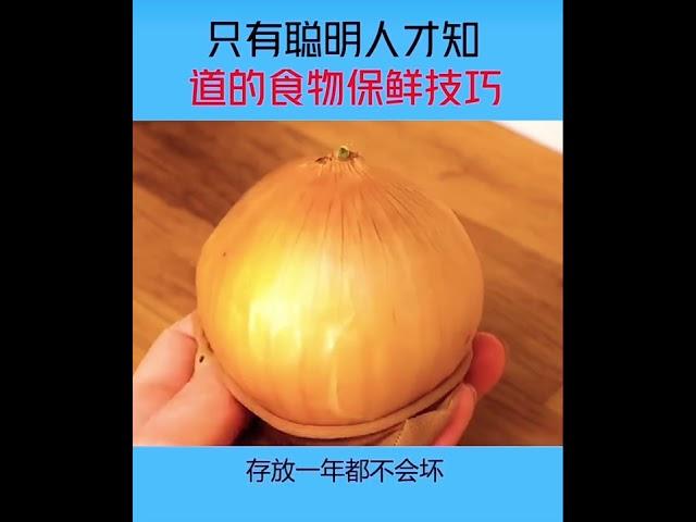 食物保鲜技巧