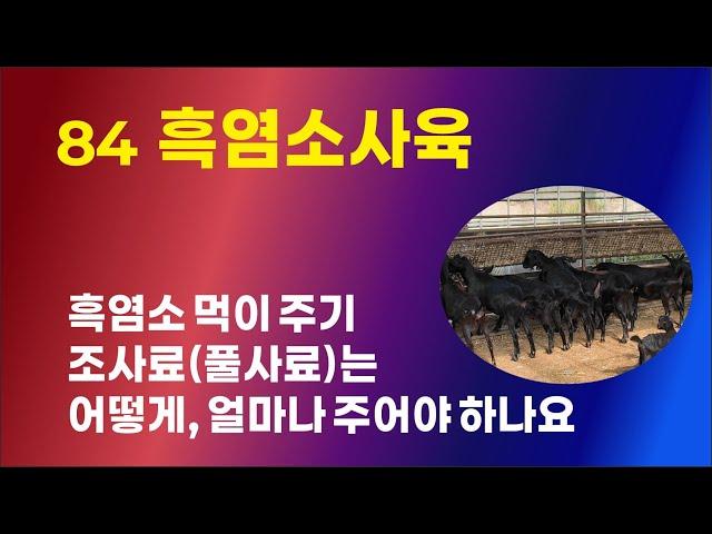 [84] 흑염소사육 - 흑염소 먹이주기, 조사료(풀사료)는 어떻게, 얼마나 주어야 할까