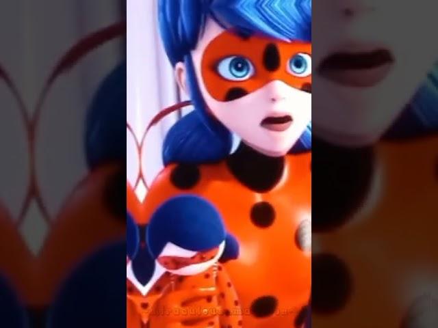 ladybug/antibug 