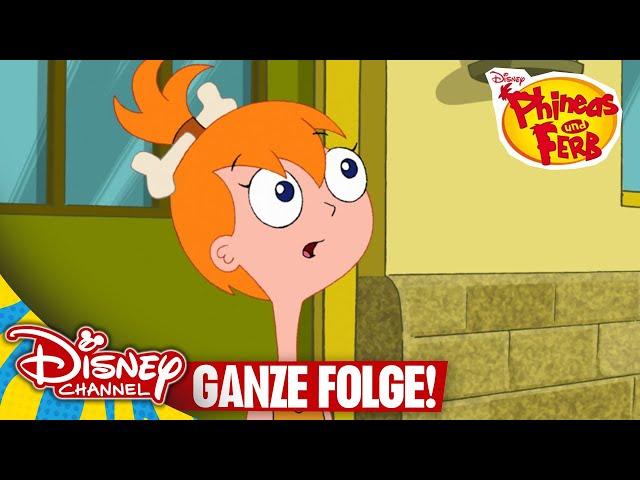 Verliebt in einen Neandertaler - Ganze Folge | Phineas und Ferb