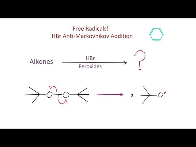 Free Radicals HBr And Peroxides: Organic Chemistry PRACTICE PROBLEMS