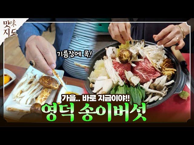 가을.. 놓칠 수 없는 송이의 향기‍🟫 영덕 #맛지도 [지금은 지방시대]