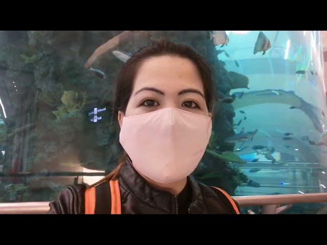 Terminal 1 Jeddah Airport || The Aquarium @ Level 1 || Visited Before Leaving Jeddah #ksa