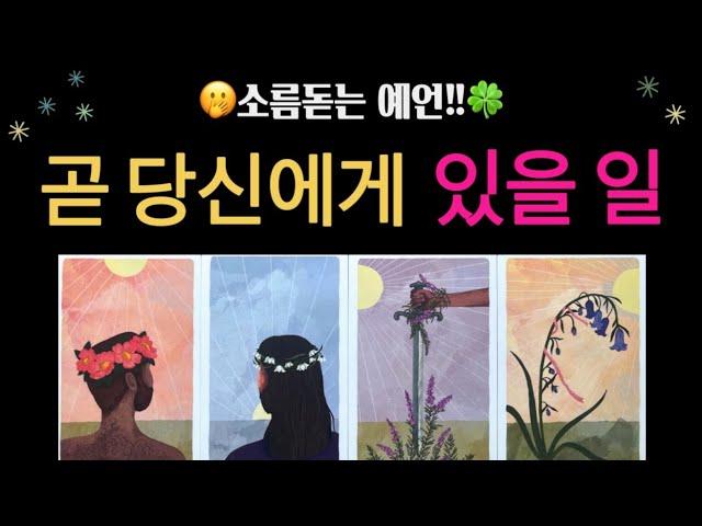 [타로]지금 당신에게 보이는 미래, 나의 운세는?️