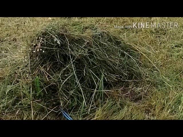 Нанотехнологии в деревне