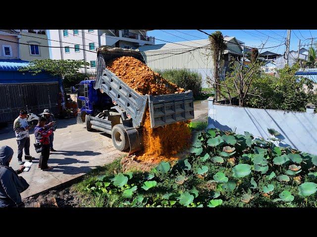 Start New Project Landfill Flooded Delete Pond !! Bulldozer D20A Push StoneSoil ,Truck 5Ton Unload