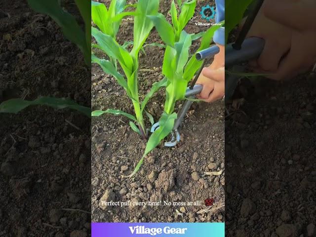 Genius Corn Planting Tool!  Oddly Satisfying! #farminghacks #gardening #gadgets #satisfying
