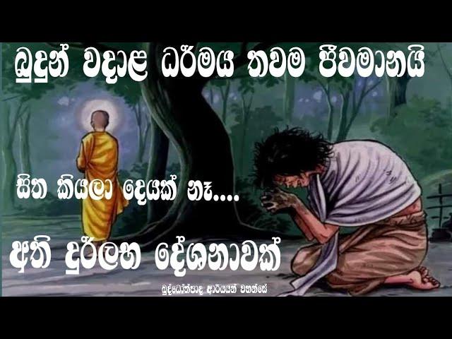 සිත කියල දෙයක් නෑ අති දුර්ලභ දේශනාව බුද්ධෝත්පාදාරයන් වහන්සේ