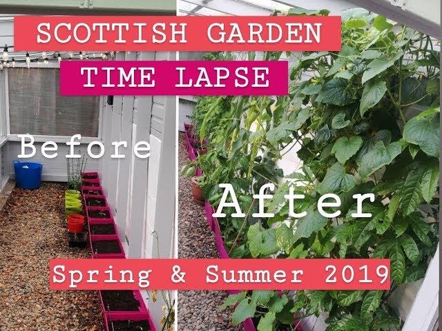 Growing Fruit & Veg in Scotland/UK - Spring & Summer 2019 / MoggyBoxCraft