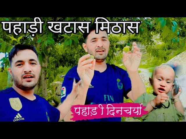 आज का  Vlog  पहाड़ी कॉमेडी पहाड़ी रोमांटिक️ पहाड़ी खुशी पहाडी गम 🫡 पहाड़ी दिनचर्या...