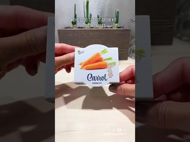The $1.00 Carrot Grow Kit from Target
