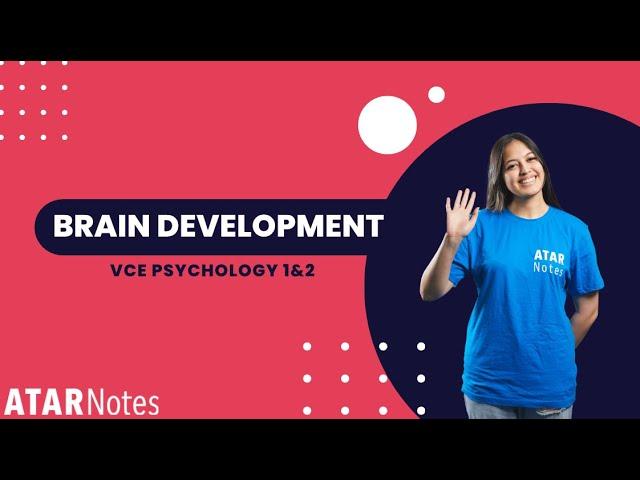 VCE Psychology 1&2 - Brain Development