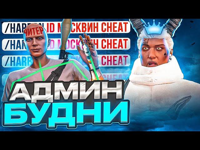 АДМИН ЗАБАНИЛ НАГЛОГО ЧИТЕРА В GTA 5 MAJESTIC RP - АДМИН БУДНИ МАДЖЕСТИК РП