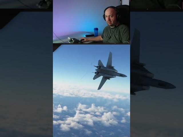 F14 Left Wing Formation Break By Real Air Force Pilot | Microsoft Flight Simulator