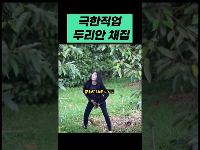 극한직업 두리안 수확