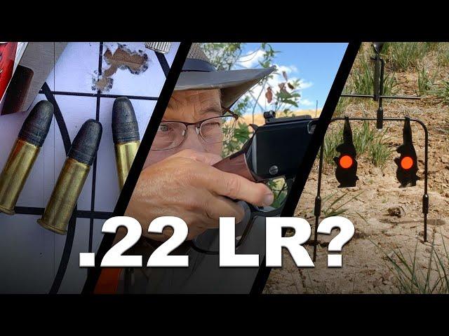 .22 Long Rifle - What are they good for?