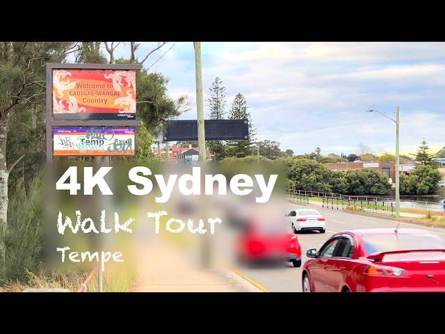  Sydney Afternoon Walk: Tempe 4K (Aug 2021)