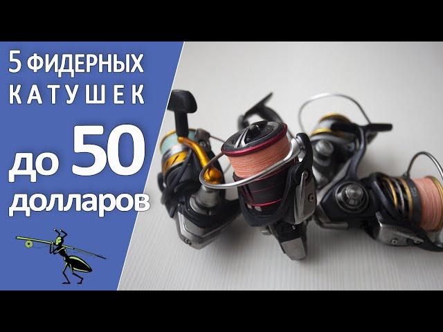 Топ-5 фидерных катушек до 50 долларов. Какую катушку на фидер купить?