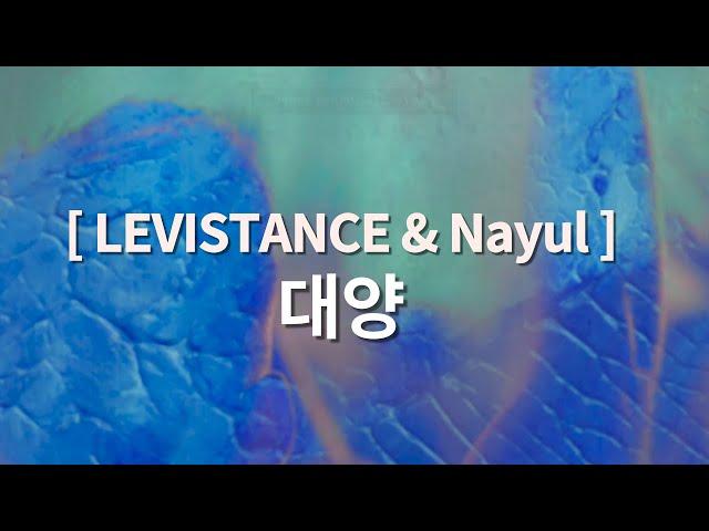 [ Feat. LEVISTANCE & Nayul ] - 대양 ( 발이 빠질 지 모르는 물 위) | 1시간 연속듣기