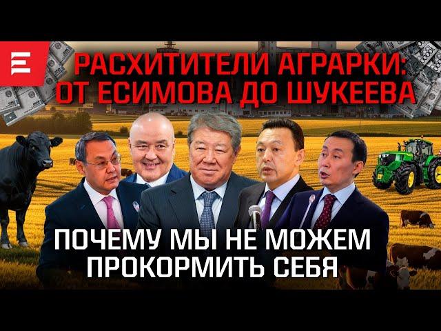 Кто кормит Казахстан? Продбезопасность под угрозой. Куда ушли миллиарды?