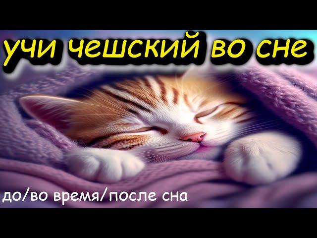 Учи чешский во сне