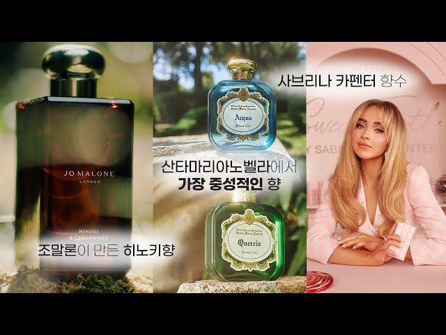 겨울 신상 향수 리뷰조말론 히노키앤시더우드/산타마리아노벨라 아쿠아&퀘르치아/사브리나카펜터 스위트투스