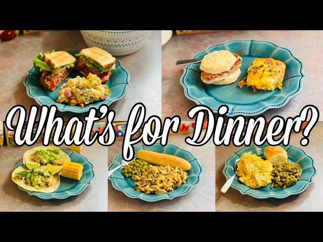 What’s for Dinner | EASY Budget Friendly Family Meal Ideas | April 2023