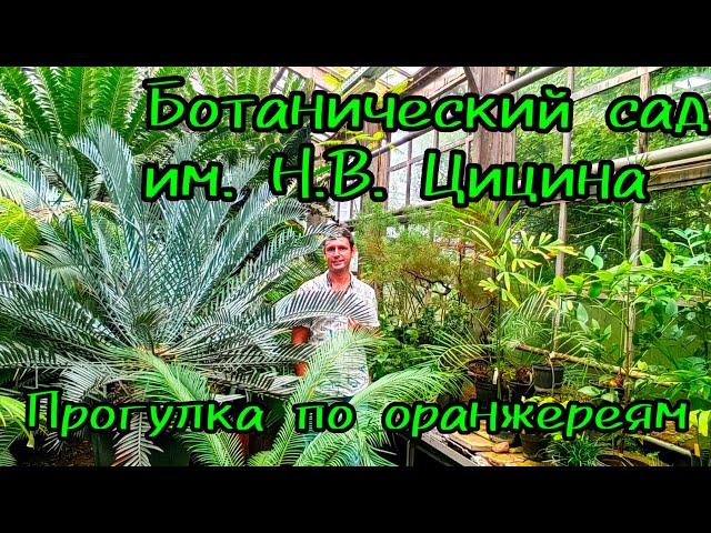 Ботанический сад им. Н.В.Цицина/ Прогулка по Оранжереи