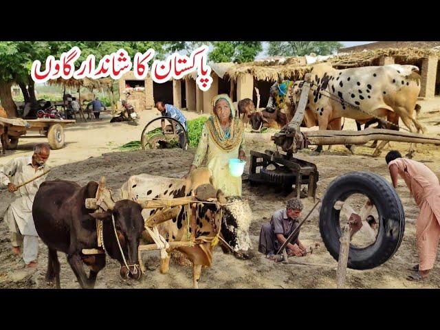 Old Amazing Cultural Pakistan Punjab Village | Pakistan Unseen Village Life | Javed Bhai